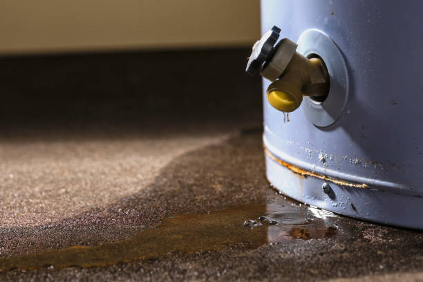 Best Professional water damage repair  in Adelino, NM