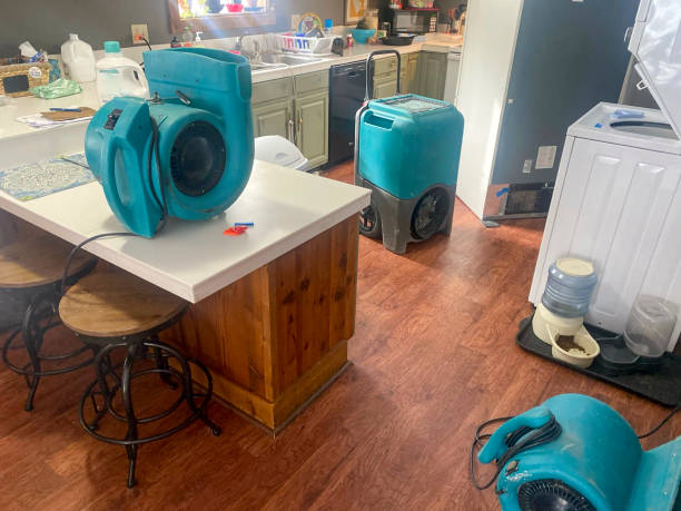 Best 24-hour water damage restoration  in Adelino, NM