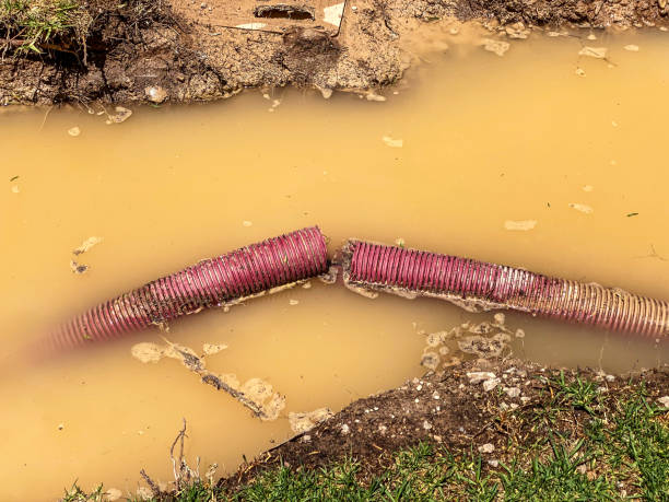 Best Fire Damage Restoration  in Adelino, NM